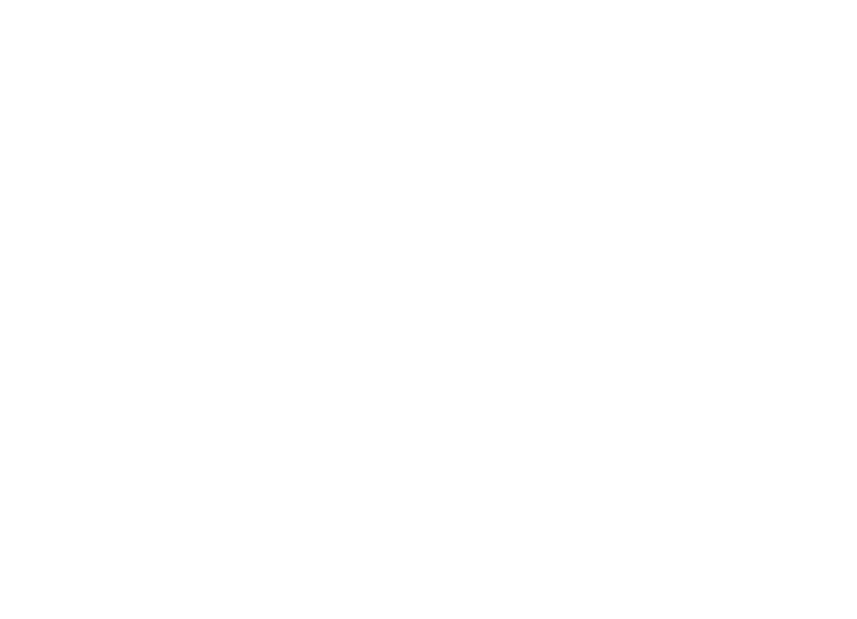 Aero Vision Germany